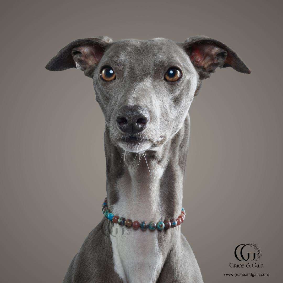 Lithotherapy-inspired semi precious stone pet accessory by Grace and Gaia, fostering well-being in dogs and cats through stylish pet gifts and unique pet malas.