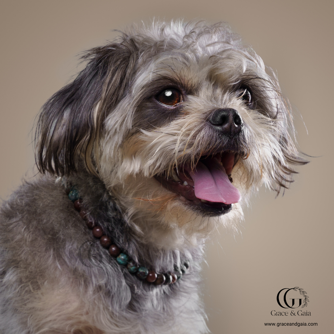 Lithotherapy-inspired semi precious stone pet accessory by Grace and Gaia, fostering well-being in dogs and cats through stylish pet gifts and unique pet malas.