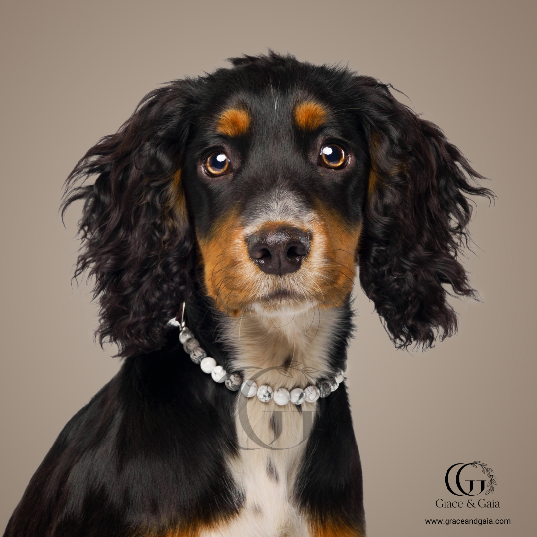 Lithotherapy-inspired semi precious stone pet accessory by Grace and Gaia, fostering well-being in dogs and cats through stylish pet gifts and unique pet malas.