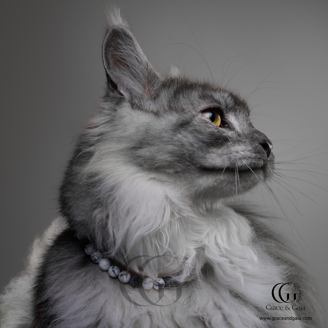 Lithotherapy-inspired semi precious stone pet accessory by Grace and Gaia, fostering well-being in dogs and cats through stylish pet gifts and unique pet malas.