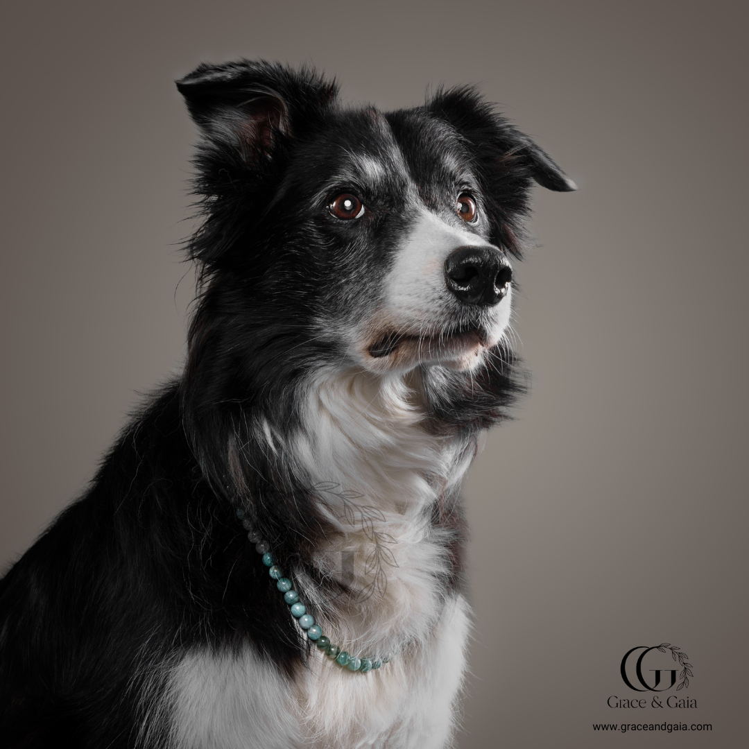 Lithotherapy-inspired semi precious stone pet accessory by Grace and Gaia, fostering well-being in dogs and cats through stylish pet gifts and unique pet malas.