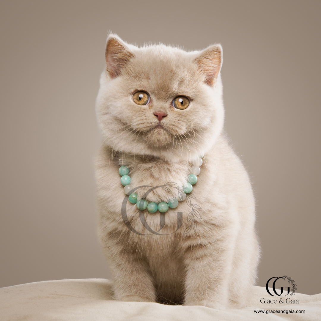 Lithotherapy-inspired semi precious stone pet accessory by Grace and Gaia, fostering well-being in dogs and cats through stylish pet gifts and unique pet malas.