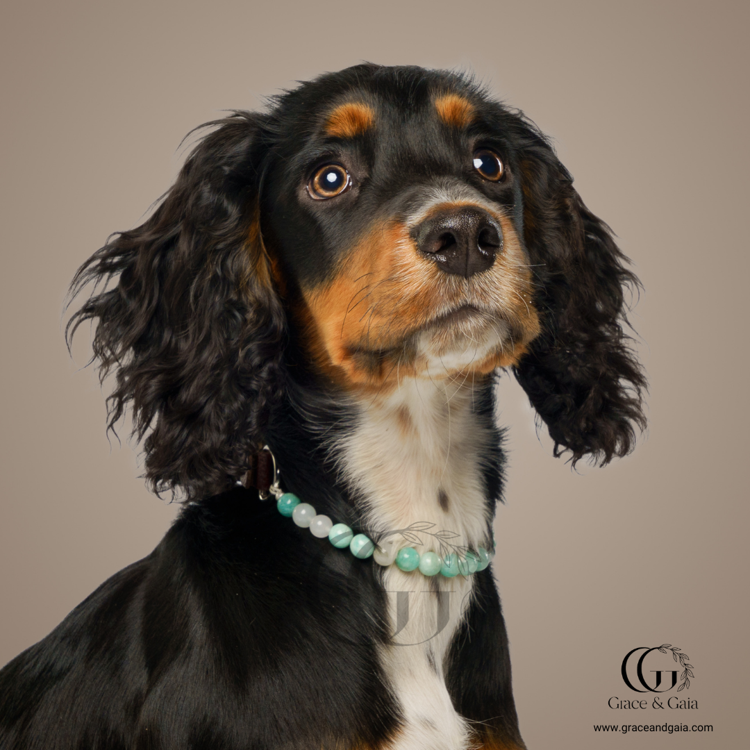 Lithotherapy-inspired semi precious stone pet accessory by Grace and Gaia, fostering well-being in dogs and cats through stylish pet gifts and unique pet malas.