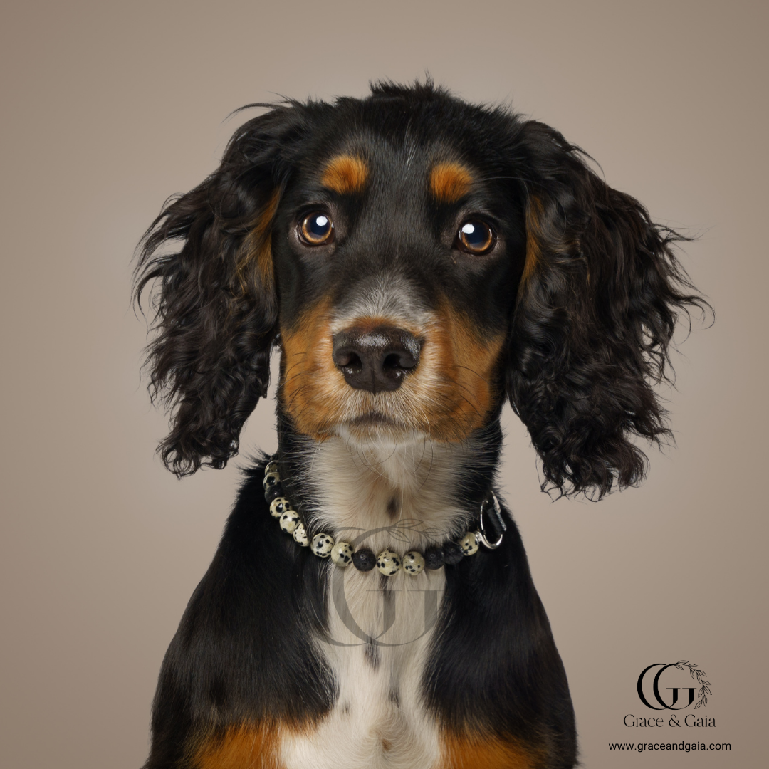 Lithotherapy-inspired semi precious stone pet accessory by Grace and Gaia, fostering well-being in dogs and cats through stylish pet gifts and unique pet malas.