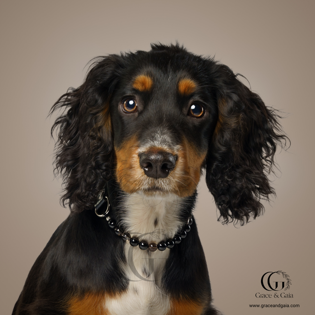 Lithotherapy-inspired semi precious stone pet accessory by Grace and Gaia, fostering well-being in dogs and cats through stylish pet gifts and unique pet malas.