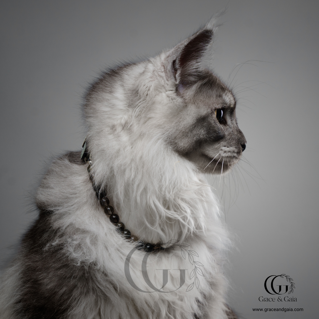 Lithotherapy-inspired semi precious stone pet accessory by Grace and Gaia, fostering well-being in dogs and cats through stylish pet gifts and unique pet malas.