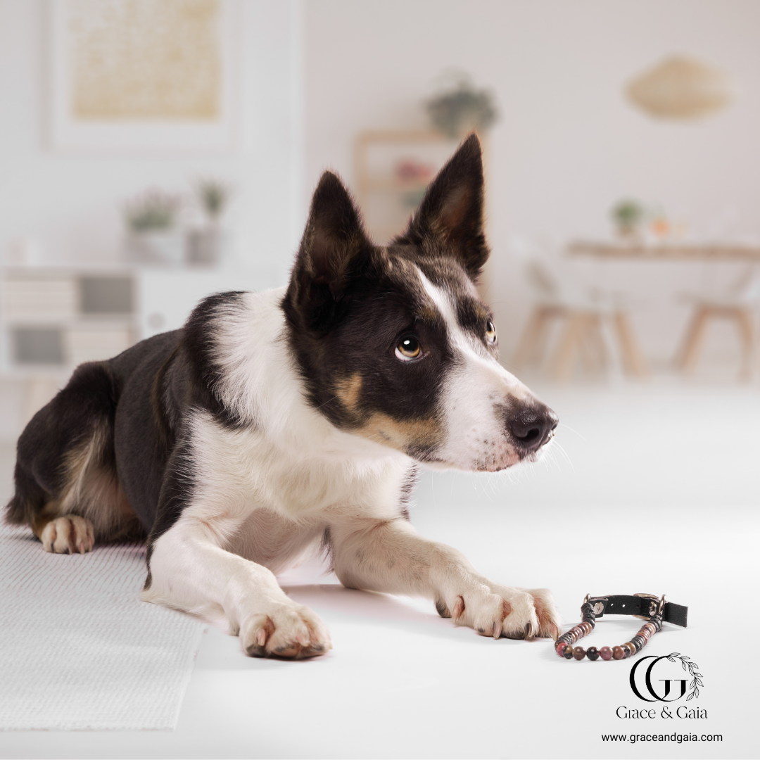 Lithotherapy-inspired semi precious stone pet accessory by Grace and Gaia, fostering well-being in dogs and cats through stylish pet gifts and unique pet malas.