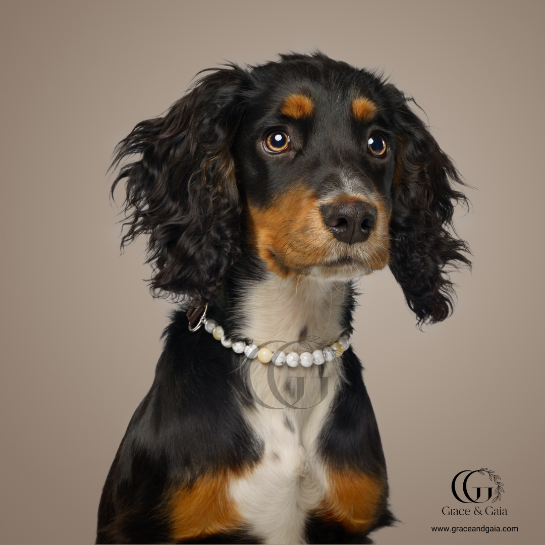 Lithotherapy-inspired semi precious stone pet accessory by Grace and Gaia, fostering well-being in dogs and cats through stylish pet gifts and unique pet malas.