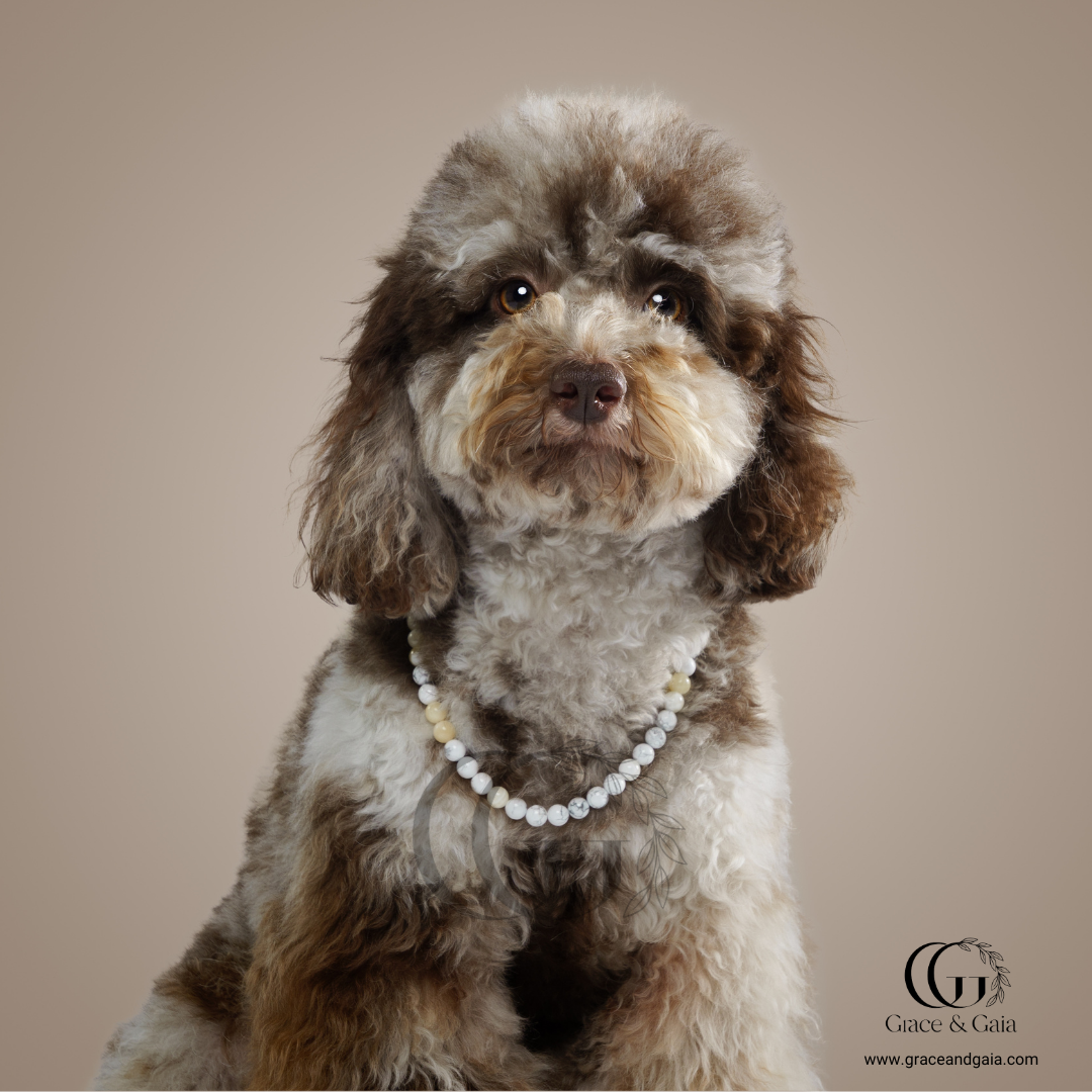 Lithotherapy-inspired semi precious stone pet accessory by Grace and Gaia, fostering well-being in dogs and cats through stylish pet gifts and unique pet malas.