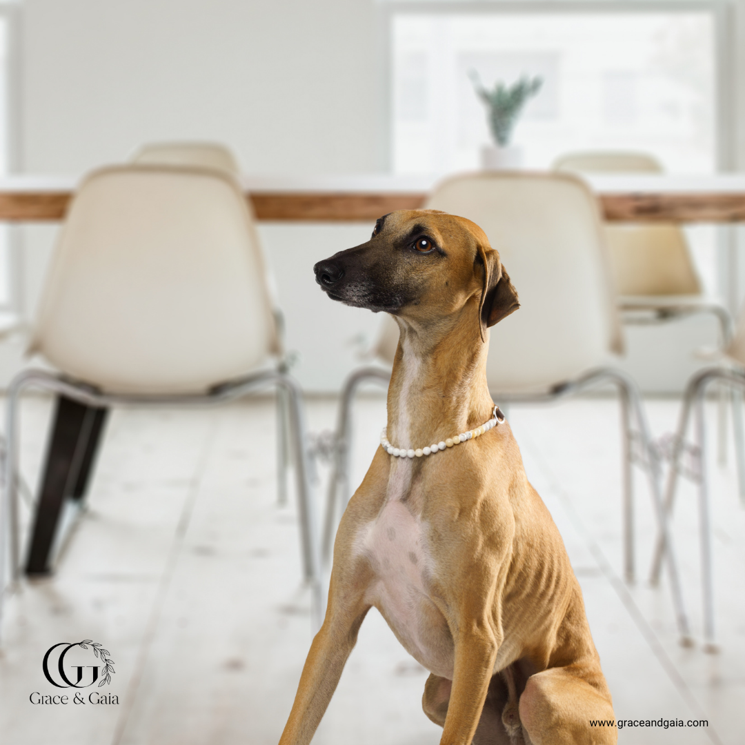 Lithotherapy-inspired semi precious stone pet accessory by Grace and Gaia, fostering well-being in dogs and cats through stylish pet gifts and unique pet malas.