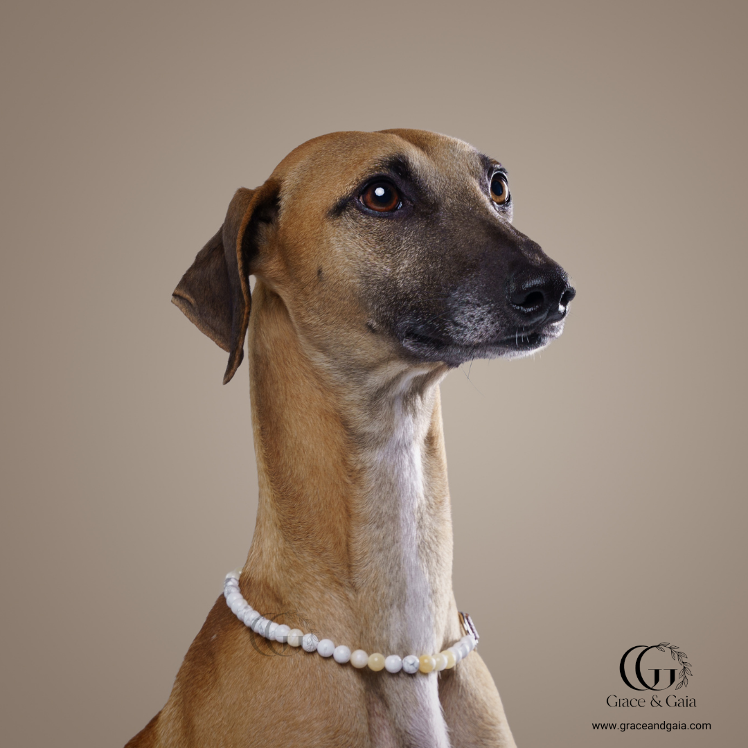 Lithotherapy-inspired semi precious stone pet accessory by Grace and Gaia, fostering well-being in dogs and cats through stylish pet gifts and unique pet malas.