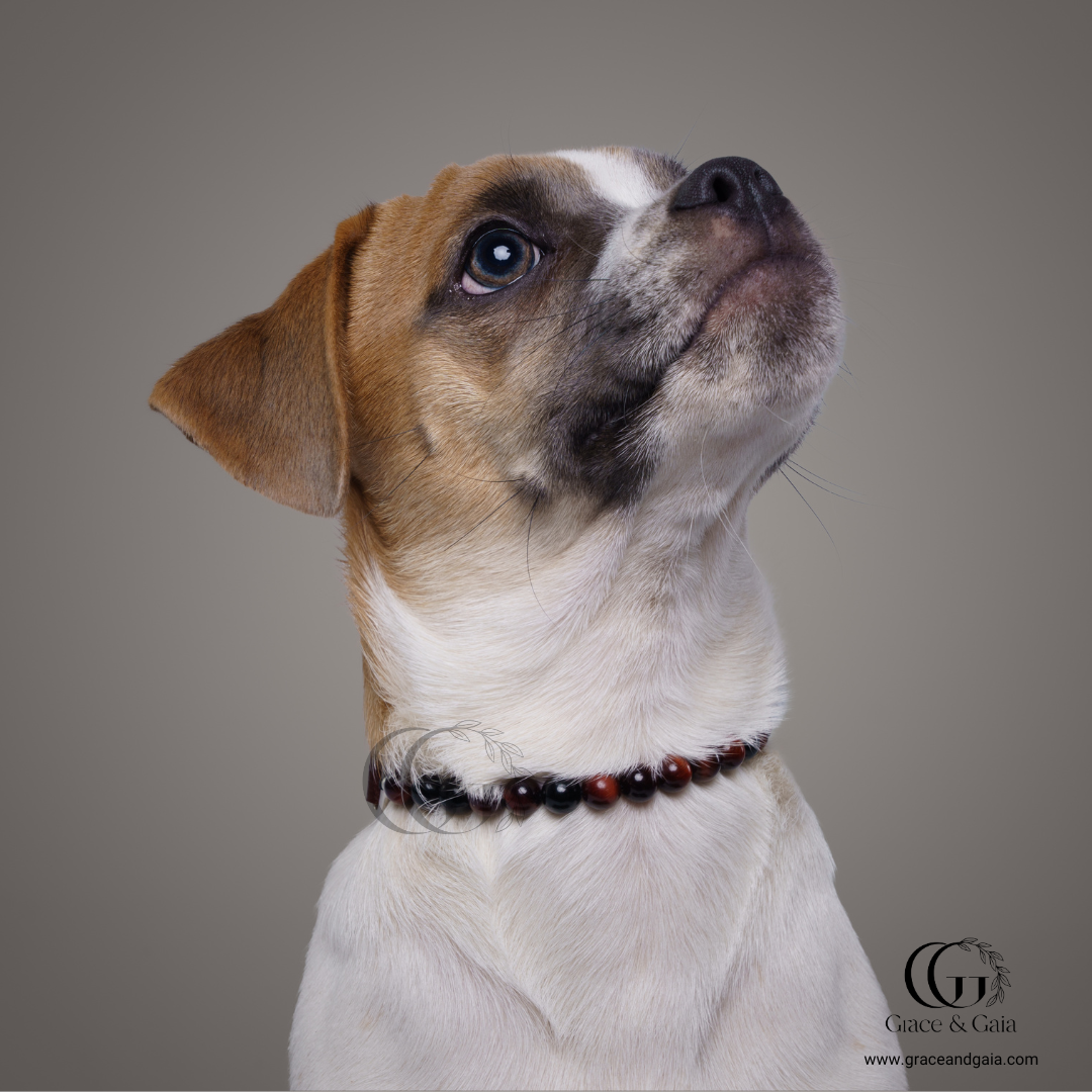 Lithotherapy-inspired semi precious stone pet accessory by Grace and Gaia, fostering well-being in dogs and cats through stylish pet gifts and unique pet malas.