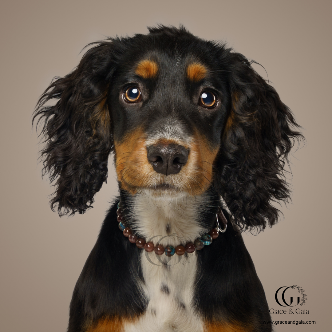 Lithotherapy-inspired semi precious stone pet accessory by Grace and Gaia, fostering well-being in dogs and cats through stylish pet gifts and unique pet malas.